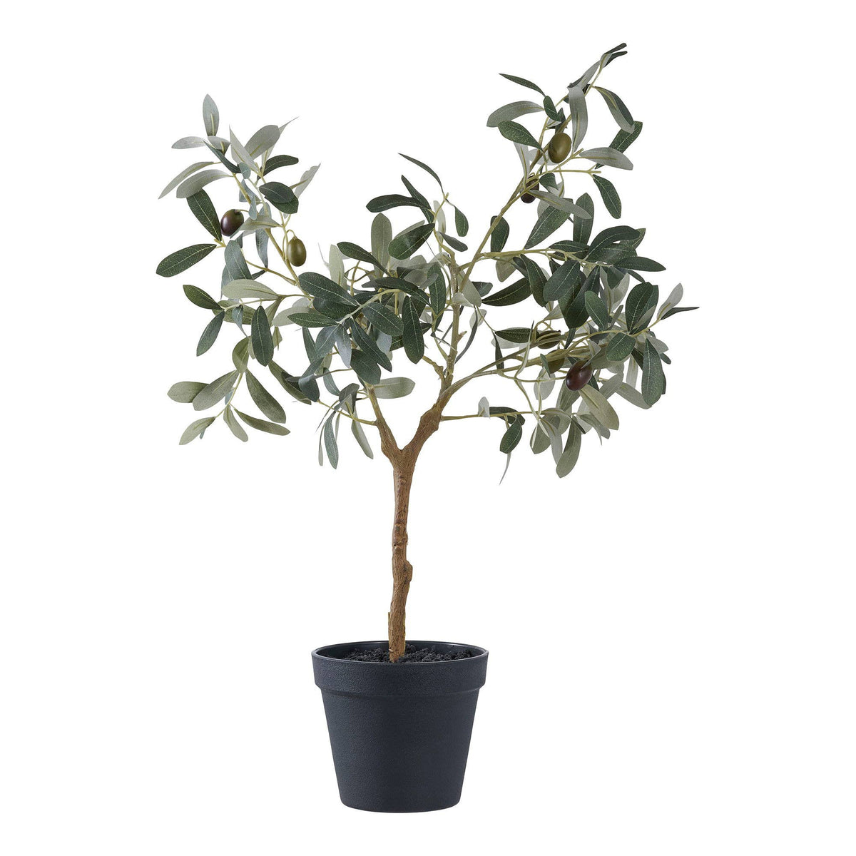 Oliivipuu vihreä 61 cm