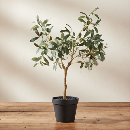 Oliivipuu vihreä 61 cm