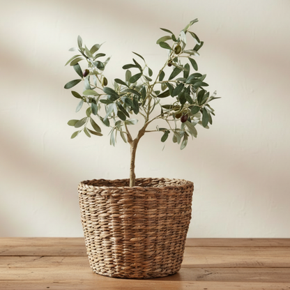 Oliivipuu vihreä 61 cm
